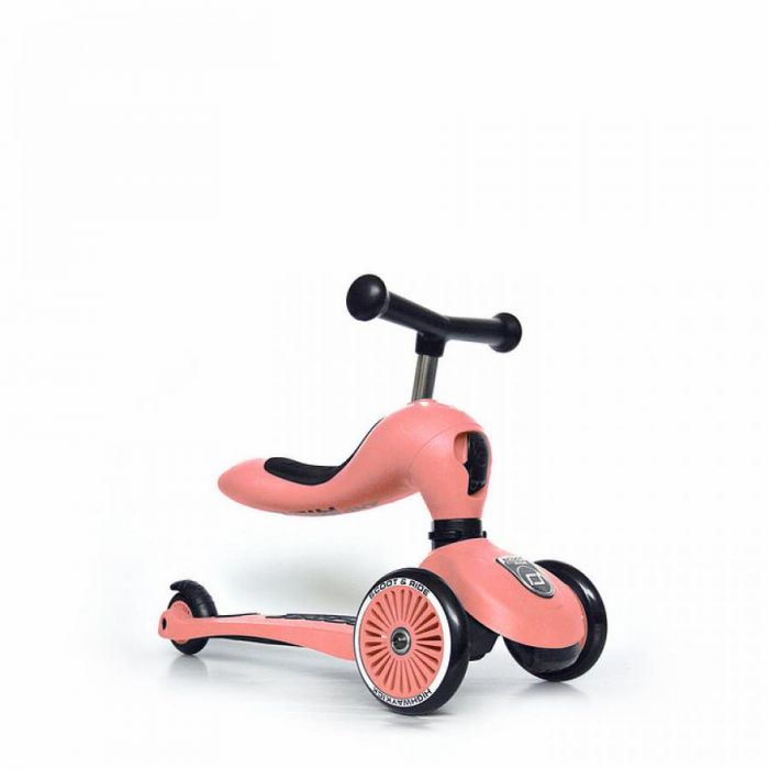 DIRA MONOPATTINO SCOOTE RIDE PESCA
